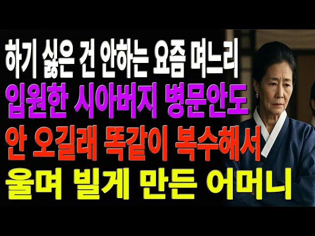 "니 멋대로 해봐라!" 시댁한테 집은 받으면서 명절·제사는 안 온다는 며느리… 결국 통쾌한 응징을 해준 시어머니의 한 수 | 가족 사연 | 노후 지혜 | 오디오북