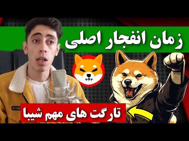 زمان انفجار اصلی شیبا اینو مشخص شد  تارگت های جدید شیبا با خرید نهنگ ها