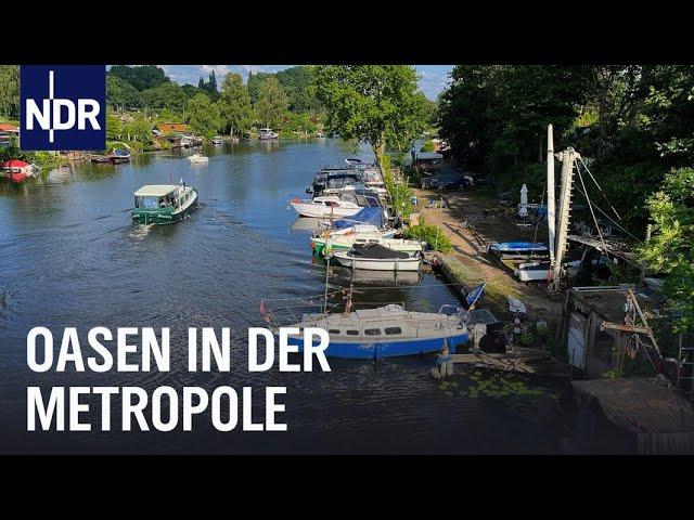 Hamburgs Inseln: Lieblingsplätze in der Großstadt | die nordstory | NDR Doku