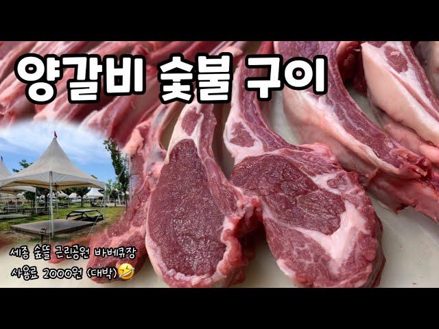 2000원으로 양갈비 숯불 바베큐장 이용하기 / 세종 숲뜰 근린공원 / 바베큐장