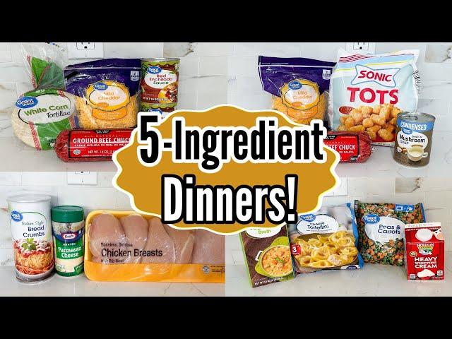 EASY 5 INGREDIENT DINNERS | Affordable & Delicious Simple Family Meals | Julia Pacheco