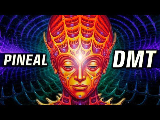 CAUTION  DMT Will Be RELEASED into Your PINEAL GLAND ((VERY POWERFUL))