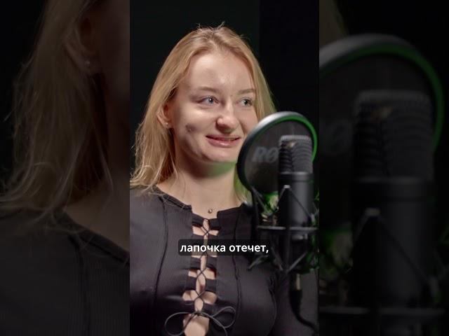 Собака не наступает на лапку, что делать?