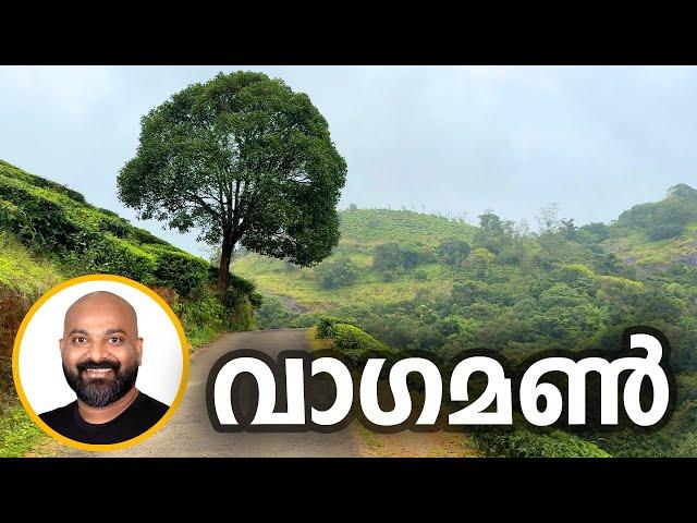 വാഗമണ്ണിലെ പുത്തൻ കാഴ്ചകൾ | Vagamon - Travel Guide | Best tourist places to visit in Vagamon