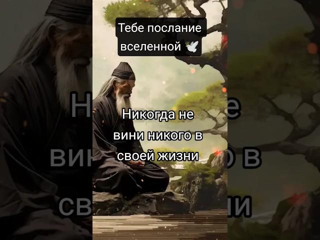 Принимай в комментариях с щедростью, БЛАГО ДАРЯ из любви к СЕБЕ  #жизнь #людисудьбы