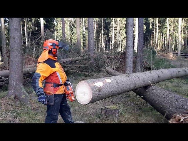 The hard work of the lumberjack and his Husqvarna 560XP chain saw! #lumberjack