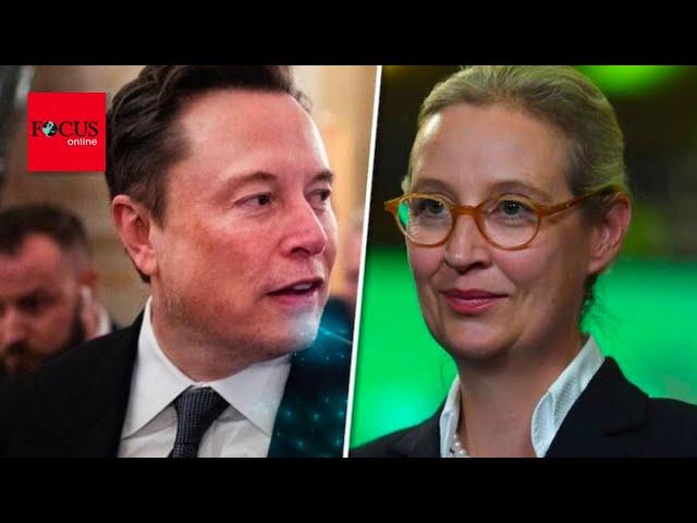 Musk-Kenner warnt: Wenn Elon ernst macht, kommt die AfD auf 30 Prozent