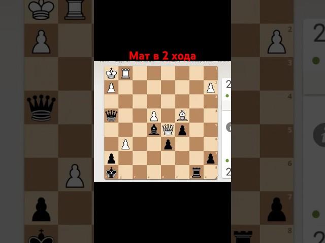 Мат в 2 хода. Решишь? #chess777 #chess #шахматы