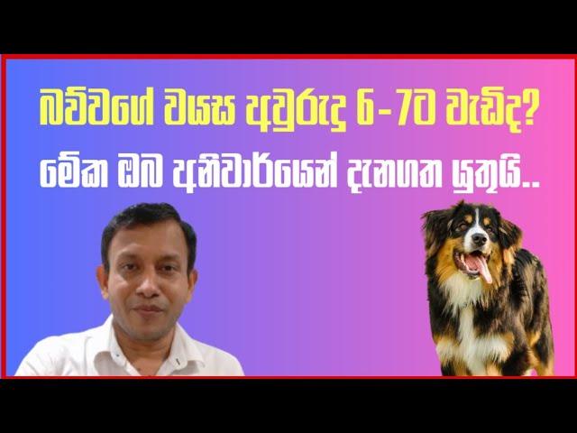 බව්වගෙ වයස 6-7ක් නම්, මේ දෙය අනිවාර්යෙන් දැනගත යුතුයි. #dranuradissanayake