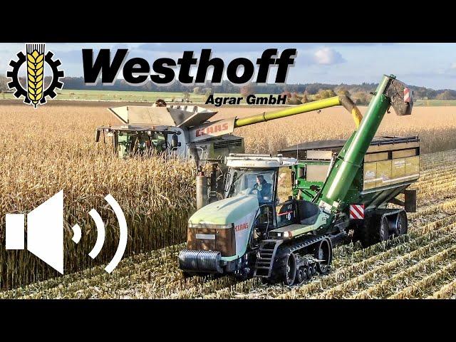 Corn Harvest 2021/ Claas Lexion 770 C66 & Claas Challenger 85E + Haulmaster GrainCart-Westhoff Agrar