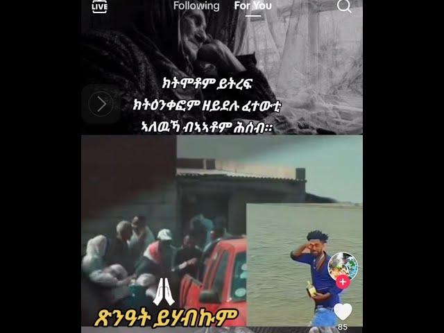 ሃብቶም ሓውና በቃ በሉ ን ሃብቶም ኣደቂስኩም ብ ሕጊ ከም ዘይ ንምሕሪኩም ፍለጡ።