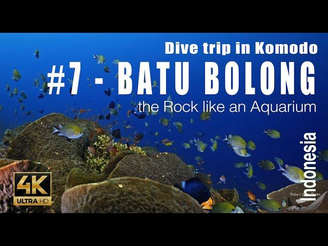 Komodo #7 : Dive on « Batu Bolong » the Rock like an Aquarium - 4k (top dive site) - Showreel