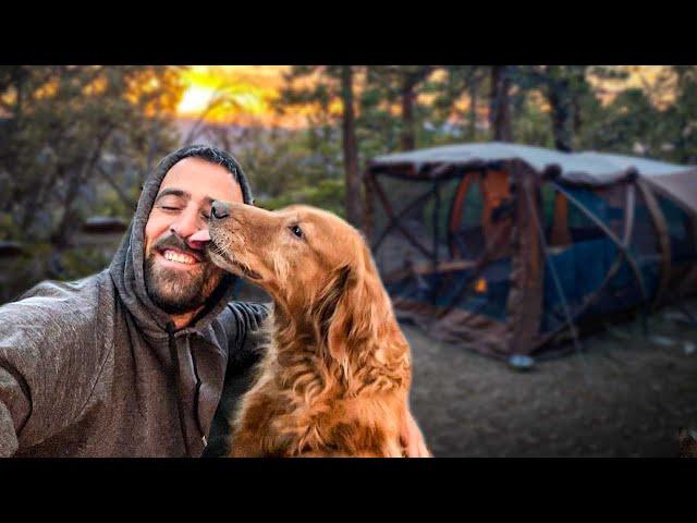 Dog Adopts Hiker on a Camping Trip - Heartwarming Video