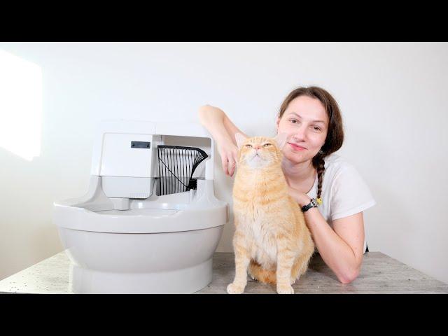 CatGenie A.I. Self-Flushing Automatic Litter Box Review (We Tried it for 3 Weeks)