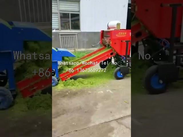 High Efficient Corn Silage Baler with Chaff Cutter for Round Bales #silagebaler #chaffcutter