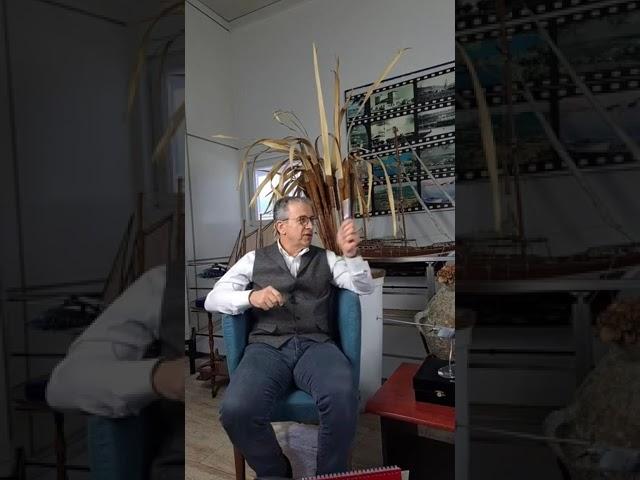 MUSTAFA PAŞALI 'DAN BODRUM İÇİN ÇARPICI AÇIKLAMALAR