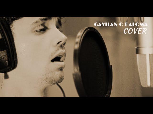 Gavilan o Paloma - José José | Cover x Elioveliz