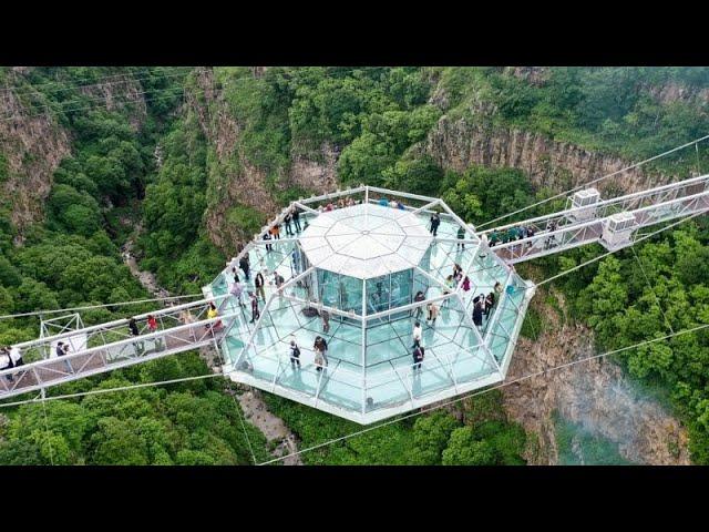 Tourists flock to 240-metre glass bridge across canyon