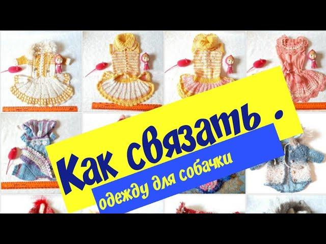 Как связать одежду для собачки.