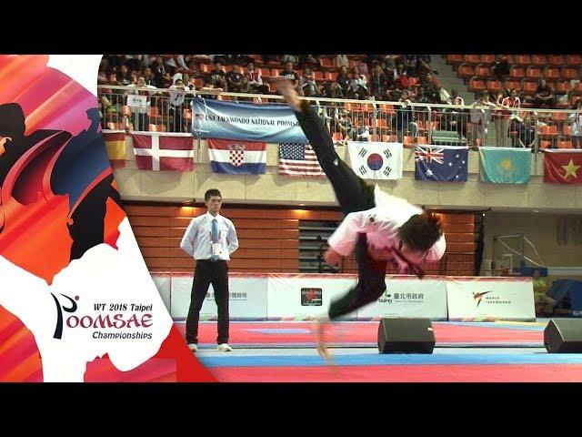 Gold Medal, Freestyle Male Over 17 Final, NA Tae Joo(KOR)