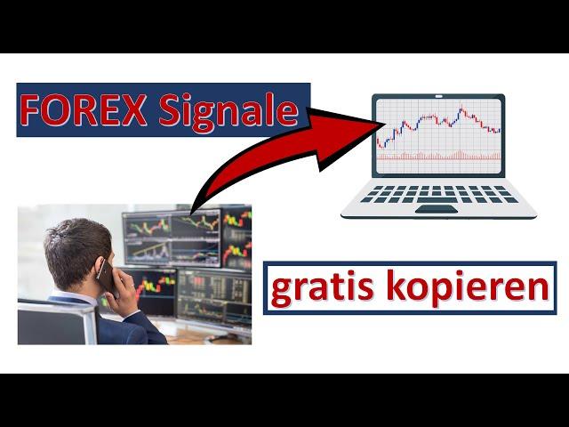 Gratis FOREX Handelssignale aussuchen, abonnieren und kopieren für den Metatrader 4.