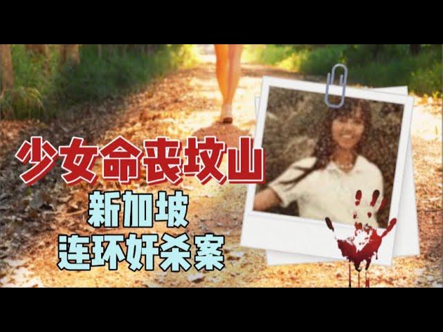 悬疑案件推理调查｜少女命丧坟山，新加坡连环奸杀案，宇哥案件调查，台灣案件 新加坡案件 中外大案｜unsolved case Singapore