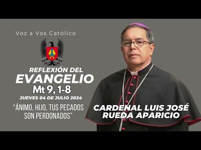 Ánimo, hijo, tus pecados son perdonados. Cardenal Luis José Rueda.