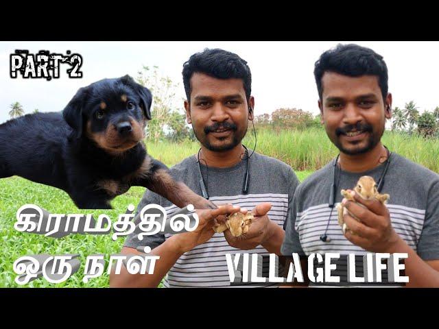 A DAY WITH RAMBO AT VILLAGE | CLEAN AIR | CLEAN WATER | TAMIL VLOGS