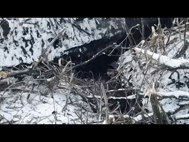 Military tactics: A video with real footage of trench bombardment in Ukraine in 2023