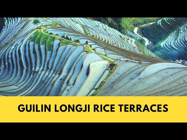 The Best Way to Visit The Longji Rice Terraces (龙脊梯田) in Guilin China!