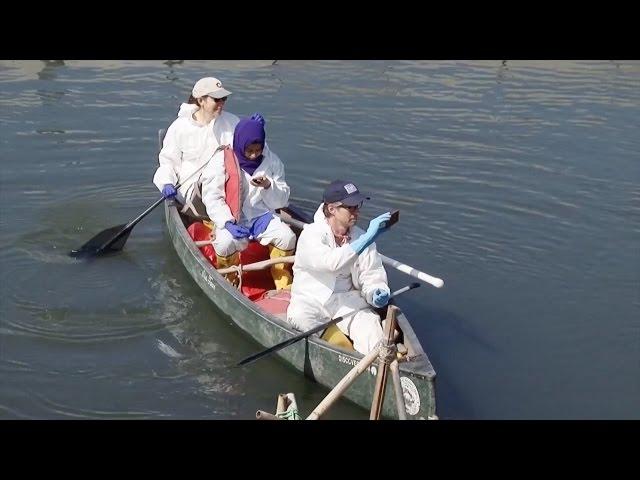 Wow! What's In Brooklyn's Gowanus Canal?