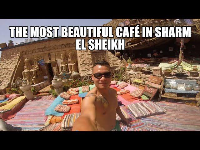 FARSHA -The most beautiful Cafe/Lounge in Sharm El Sheikh | Mateo's Adventures