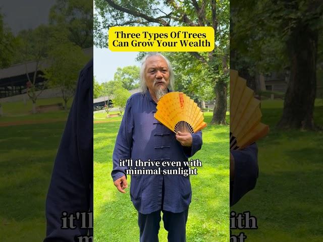 Three types of trees can grow your wealth！#fengshui #wealth #energy