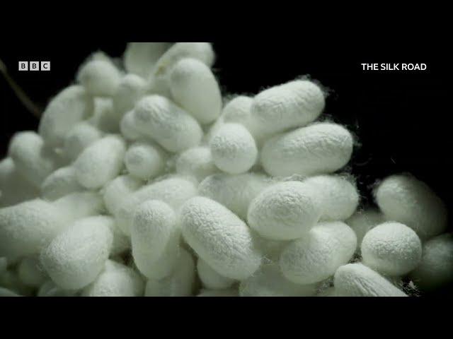 The Silk Road | BBC Select