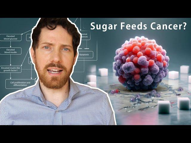 Does Sugar Cause Cancer?