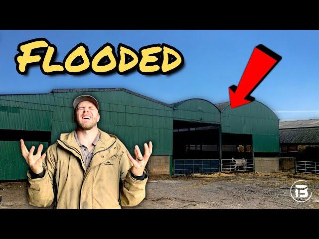 This Is Why Cows Should Be In Fields! | Floods, Big Hedges and Silage Bales.