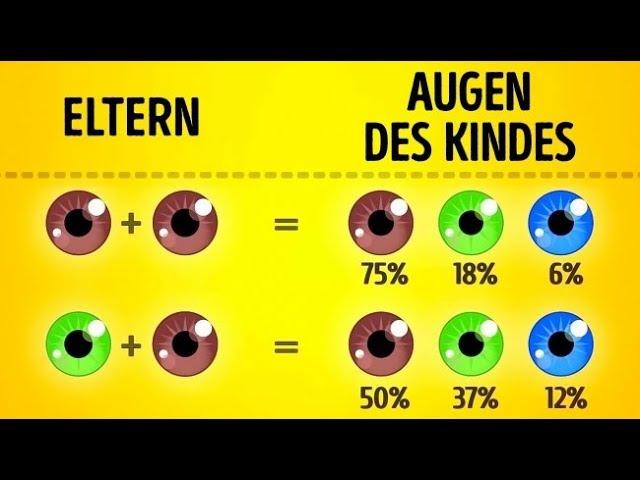 Wie Wird Dein Baby Aussehen?