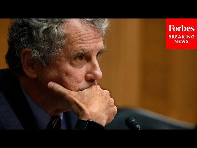 Sherrod Brown Questions Witnesses About Why Young Adults Find Housing Unaffordable