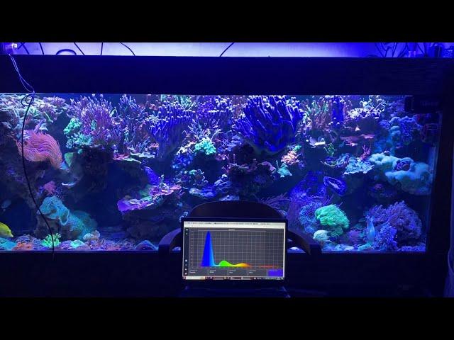 Reef 750l , equipment and lighting setup. комплектация и настройка света.