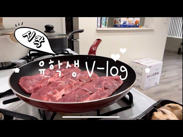  유학생 VLOG| 미국에서 자취하는 유학생, 혼자 장보기, 아침부터 고기구워먹기