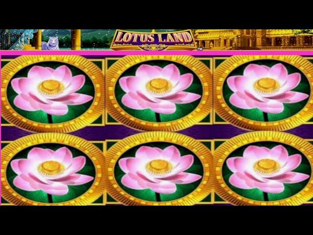 JACKPOT HANDPAY$300 BETSLOTUS LAND HIGH LIMIT SLOT MACHINE BUENO DINERO MUSEUM SLOTS KONAMI