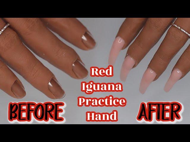 WATCH ME USE MY RED IGUANA HAND FOR THE FIRST TIME | CELEBEAUTI21