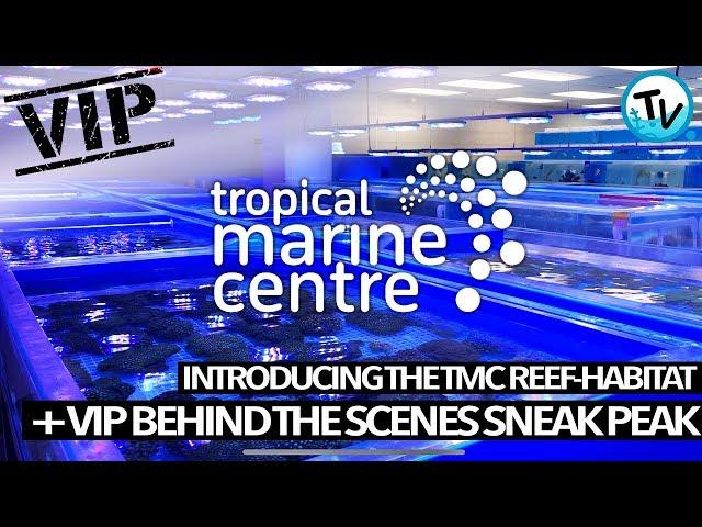 BEHIND THE SCENES AT TROPICAL MARINE CENTRE