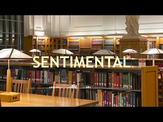 [10시간피아노] 도서관에서 듣는 감성적이고 조용한 피아노음악 | Emotional and quiet piano music in the library