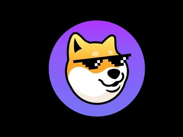 Dogechain qualcosa non torna?