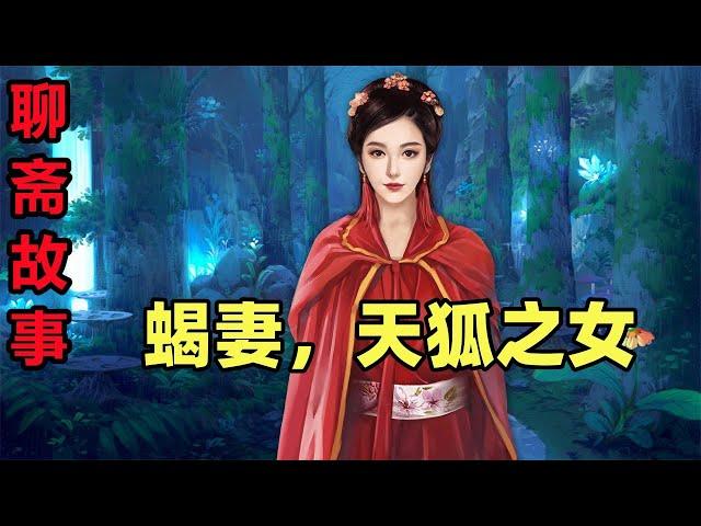 聊齋故事合集：蠍妻，天狐之女