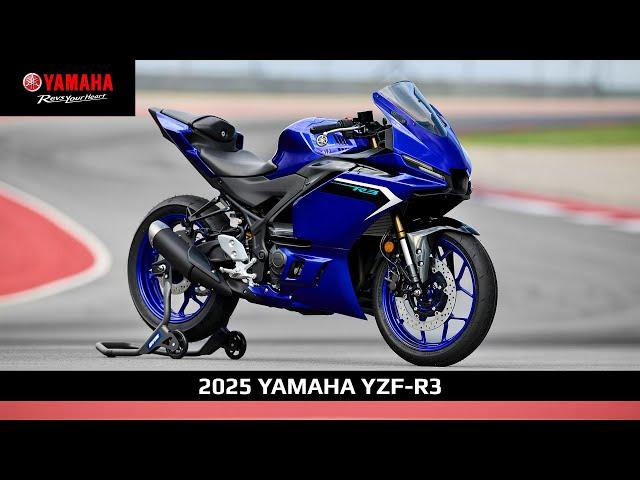 2025 YZF-R3 | Light. Nimble. Fun.