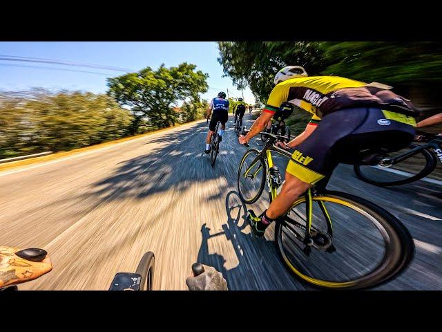 PORTUGUESE CYCLISTS ARE STRONG AS F***!