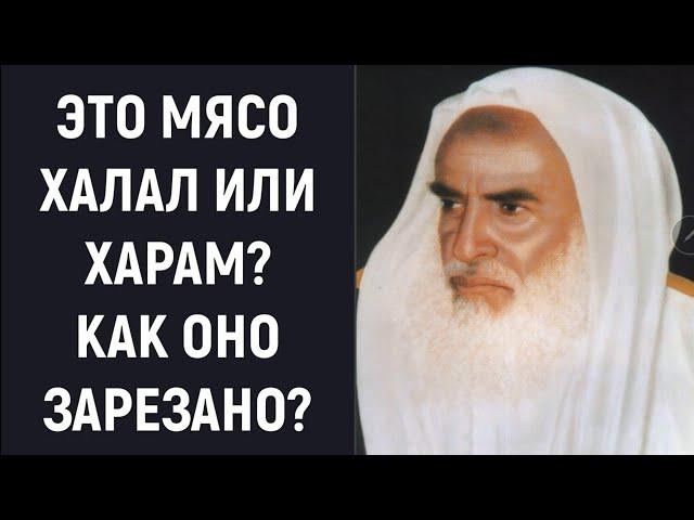 Это мясо халал или харам и как оно зарезано | Шейх ибн Усеимин | Брат Рамин