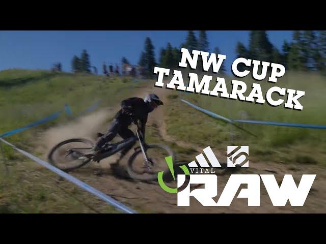 VITAL RAW - NW Cup Tamarack